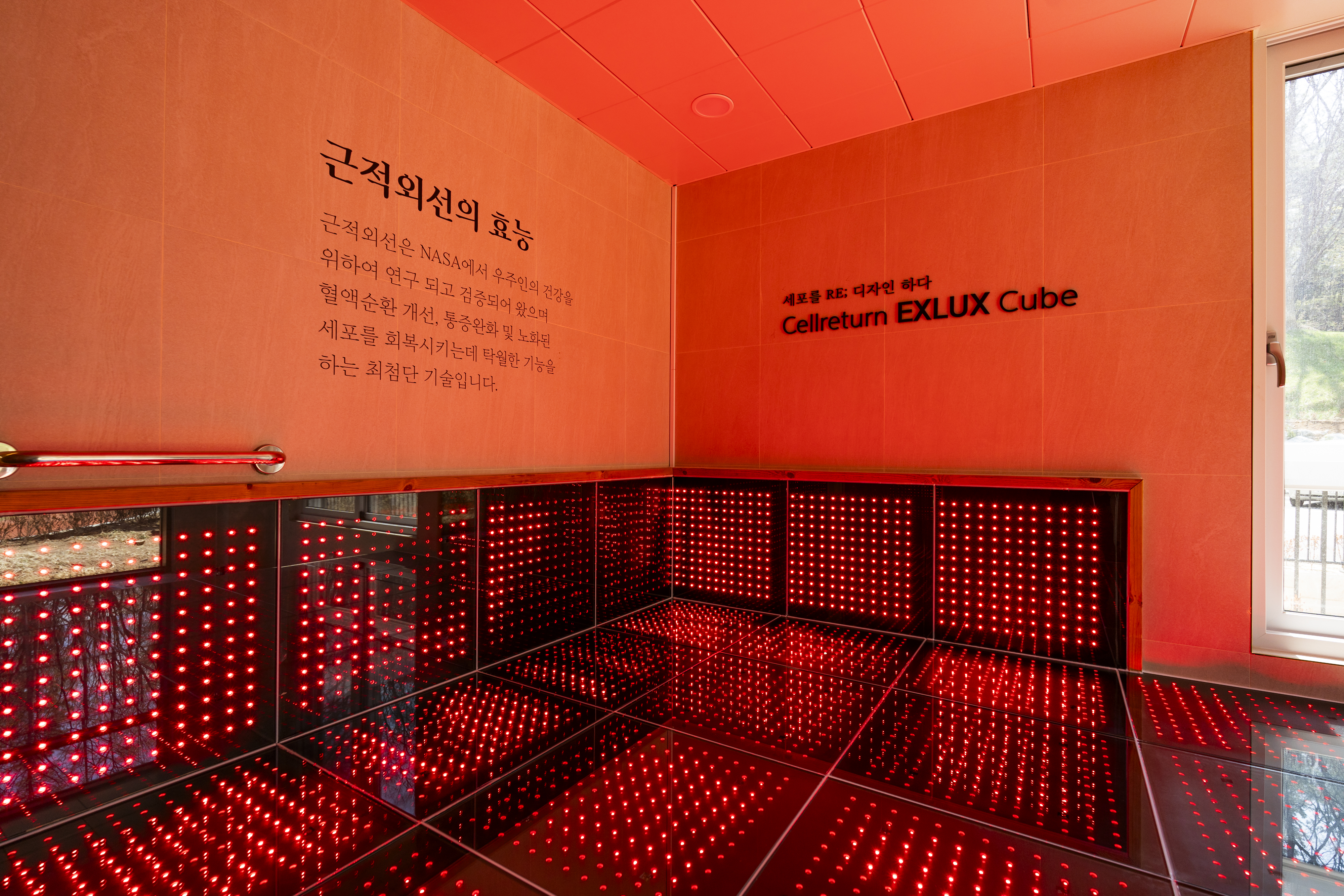 포천 광릉수목원점